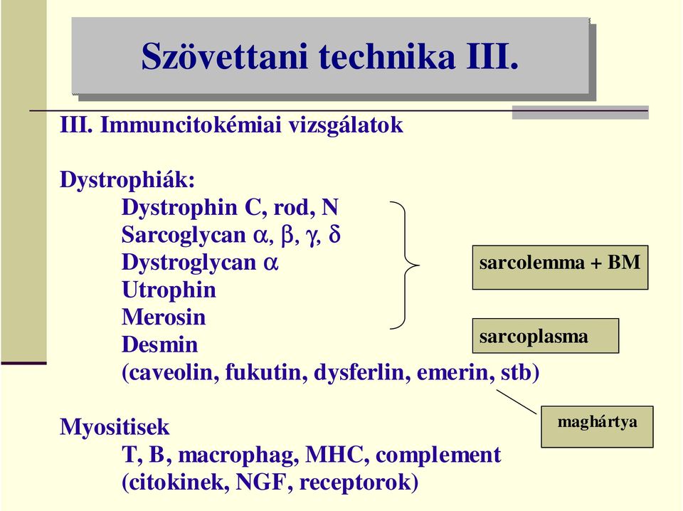 Sarcoglycan α, β, γ, δ Dystroglycan α Utrophin Merosin Desmin (caveolin,