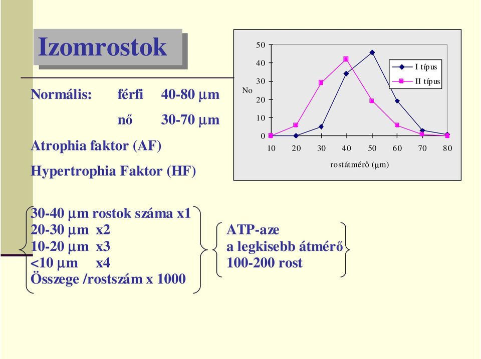 50 60 70 80 rostátmérı (µm) 30-40 µm rostok száma x1 20-30 µm x2 ATP-aze