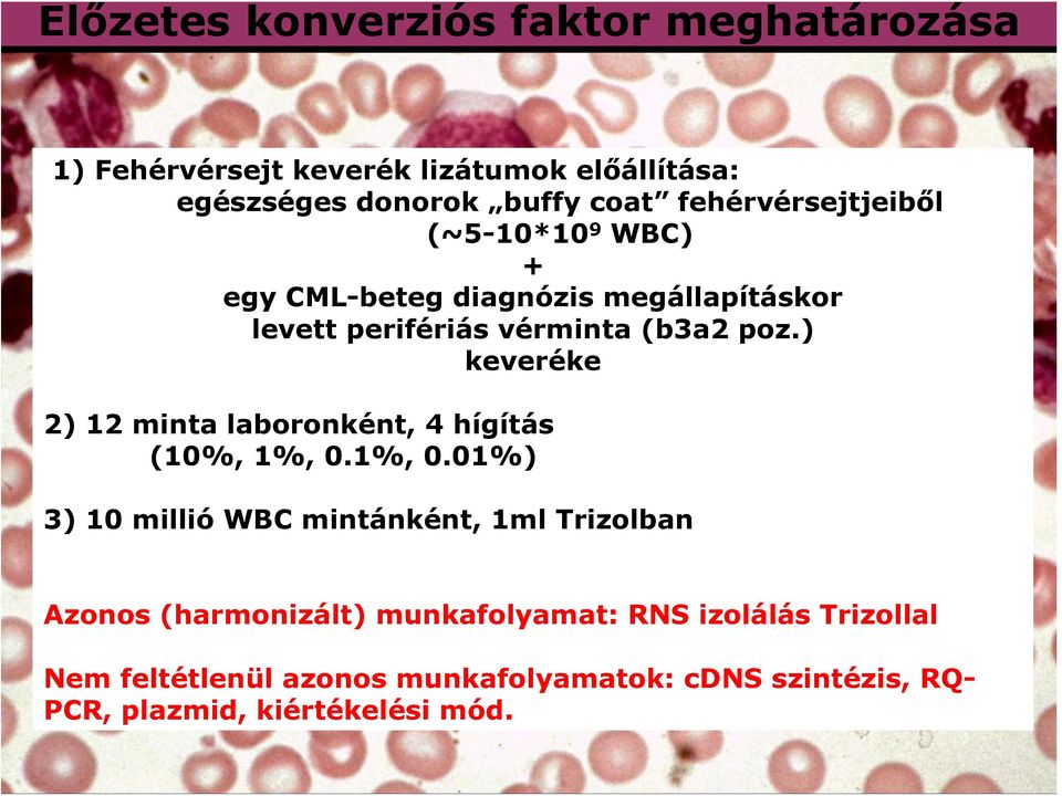 ) keveréke 2) 12 minta laboronként, 4 hígítás (10%, 1%, 0.