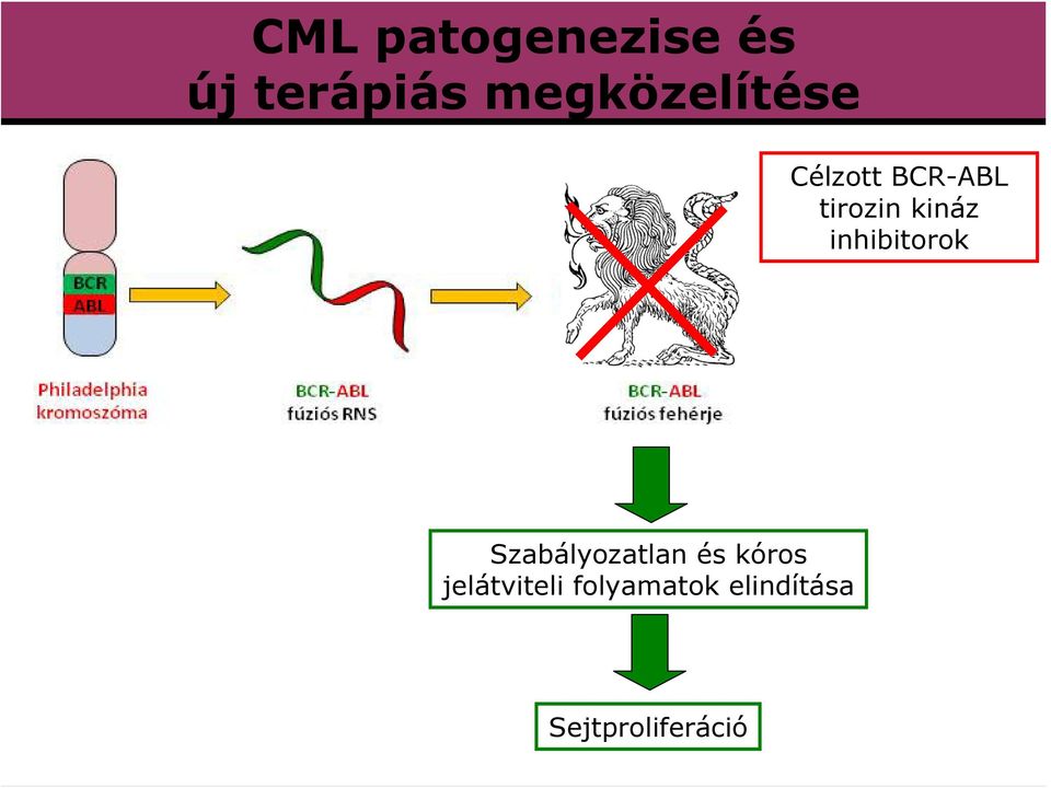 kináz inhibitorok Szabályozatlan és