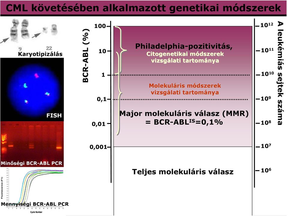 vizsgálati tartománya Major molekuláris válasz (MMR) = BCR-ABL IS =0,1% 10 12 10 11 10 10 10 9 10 8 A