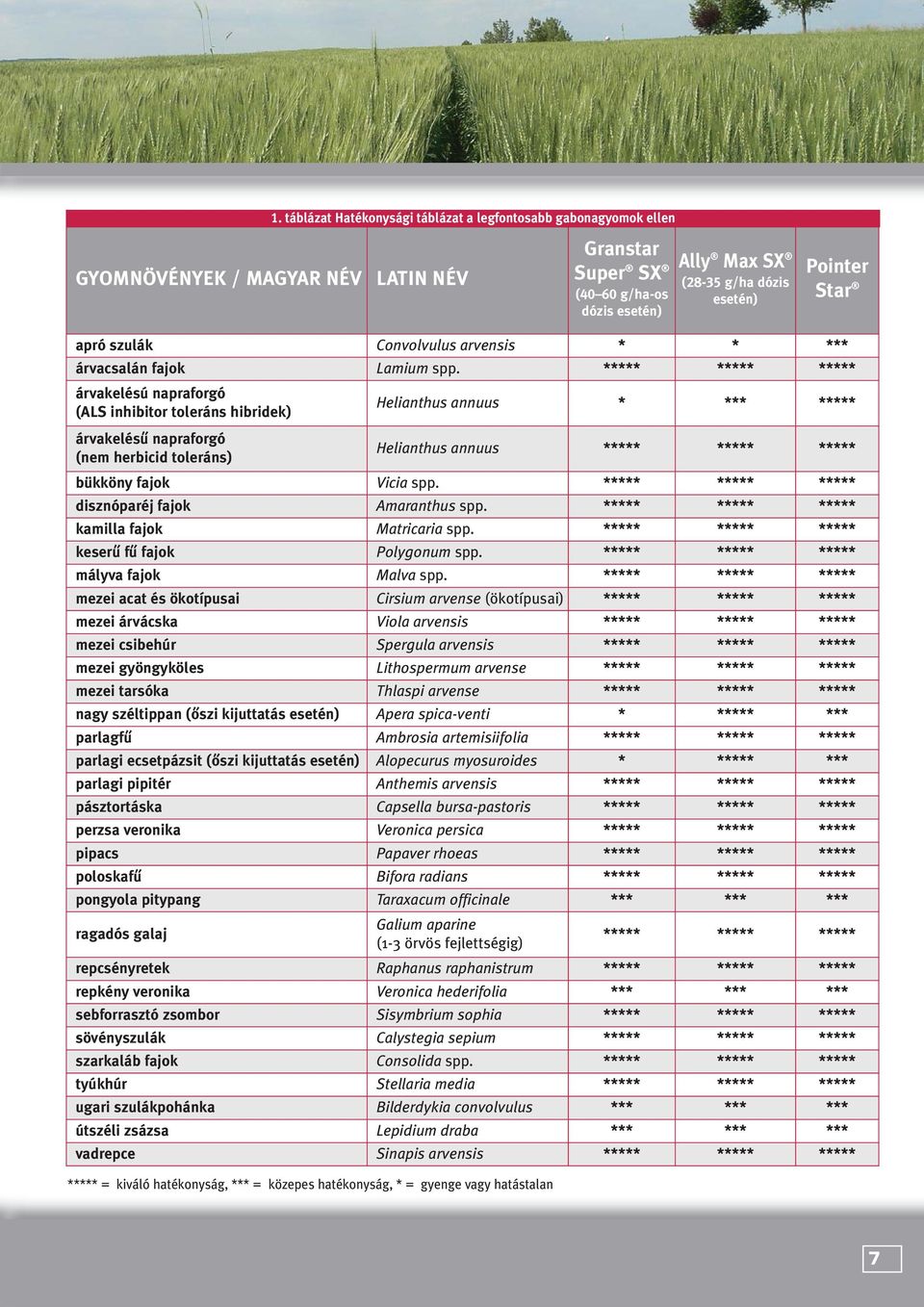 ***** ***** ***** árvakelésú napraforgó (ALS inhibitor toleráns hibridek) ***** = kiváló hatékonyság, *** = közepes hatékonyság, * = gyenge vagy hatástalan Helianthus annuus * *** ***** árvakelésû