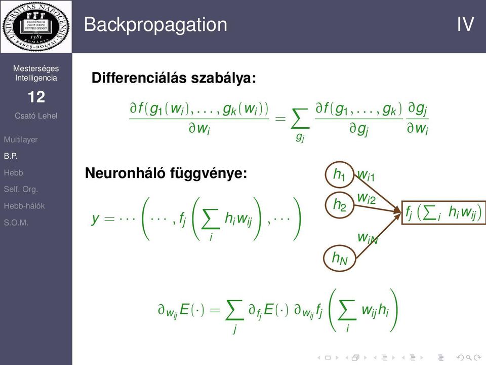 .., g k ) g j w i g g j w i j -hálók Neuronháló függvénye: ( ( )