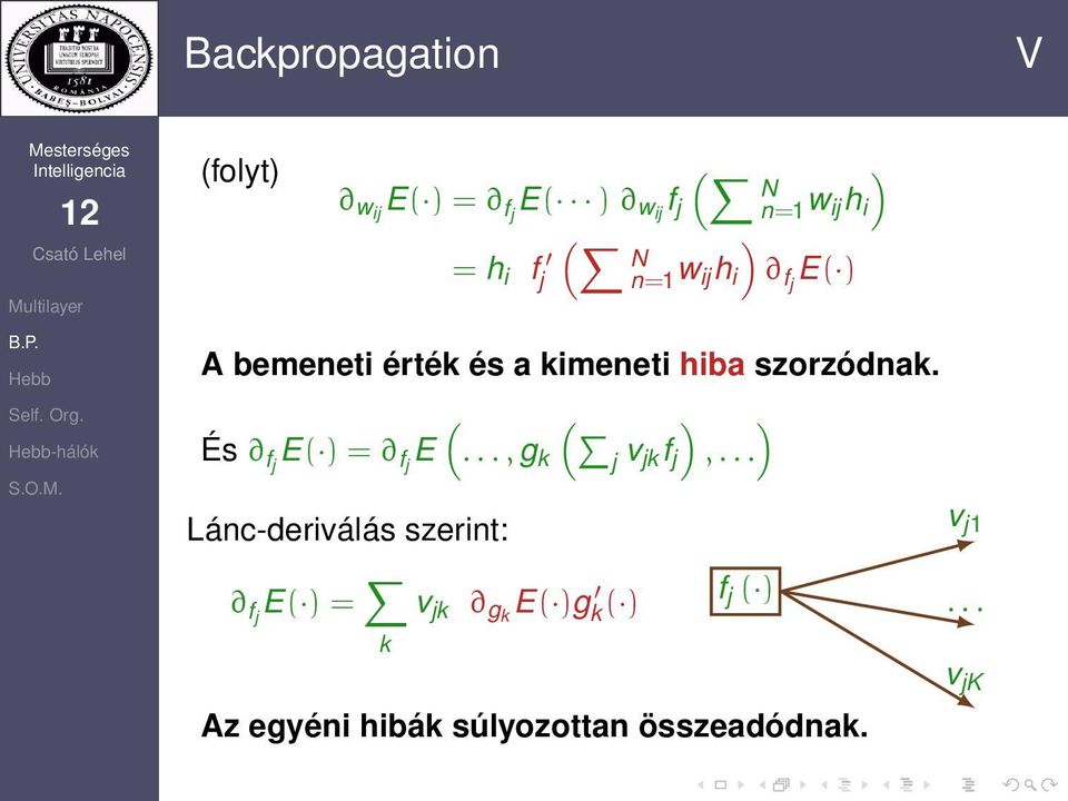 És fj E() = fj E Lánc-deriválás szerint: fj E() = k ( ) ) (..., g k j v jkf j,.