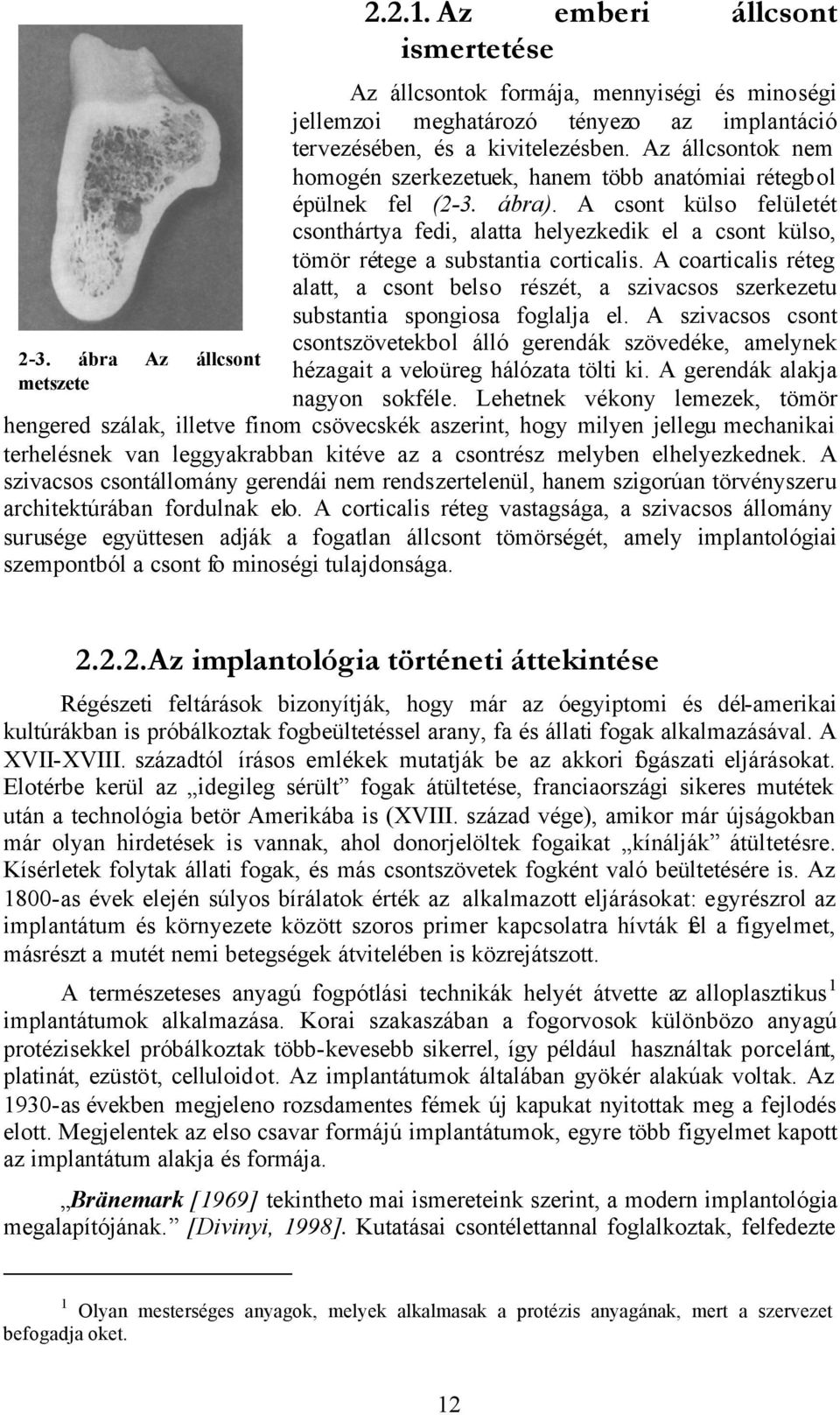 A csont külso felületét csonthártya fedi, alatta helyezkedik el a csont külso, tömör rétege a substantia corticalis.