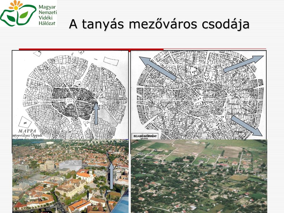 csodája