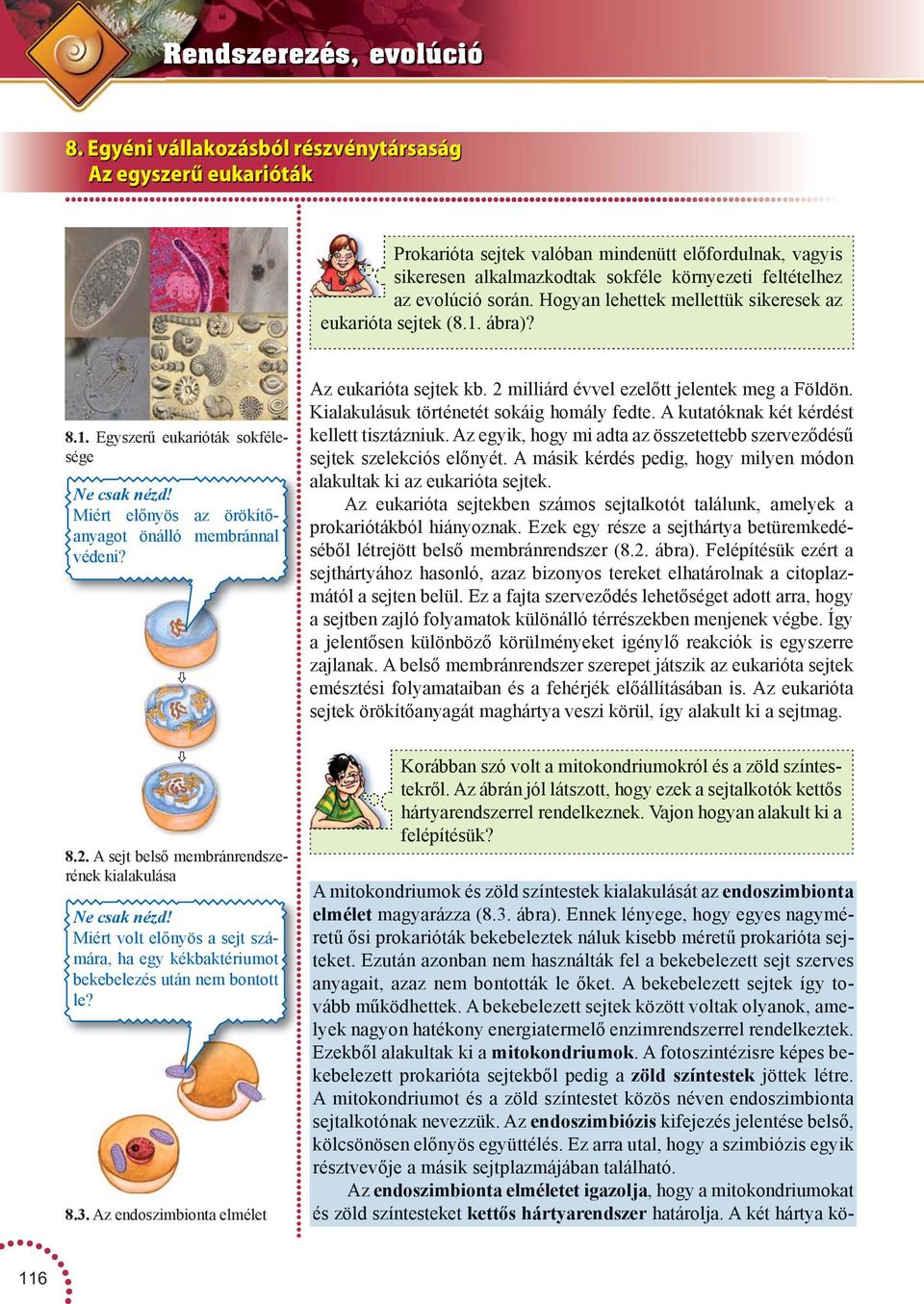 Az edoszimbiota elmélet Prokarióta sejtek valóba mideütt előfordulak, vagyis sikerese alkalmazkodtak sokféle köryezeti feltételhez az evolúció sorá.