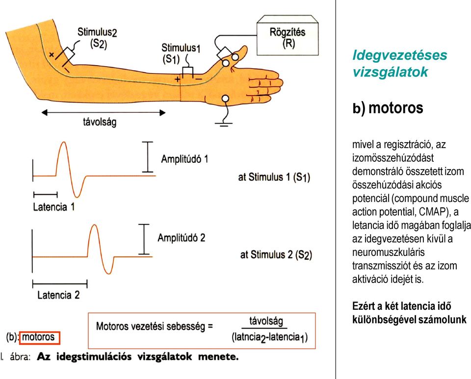 potential, CMAP), a letancia idő magában foglalja az idegvezetésen kívül a