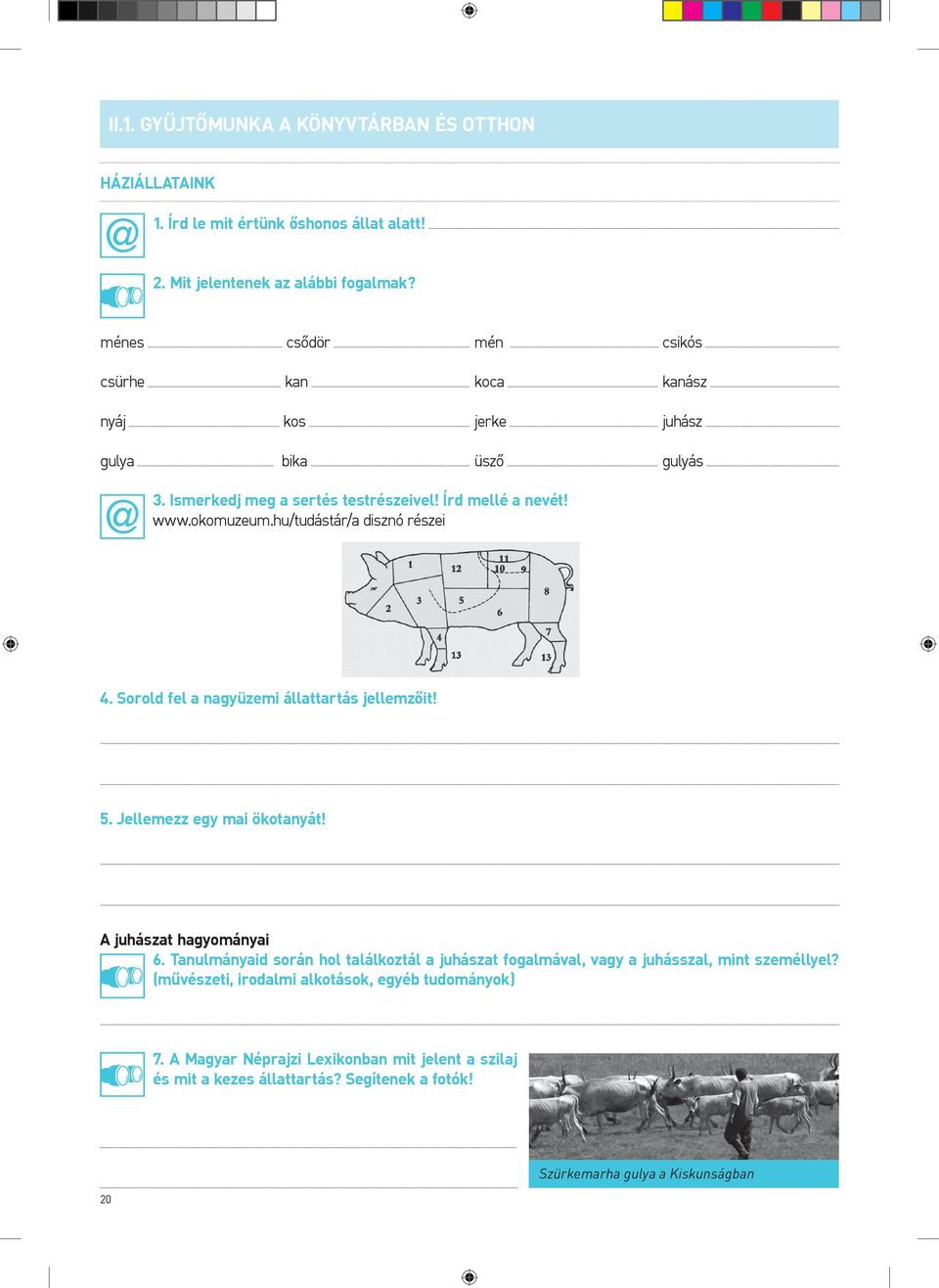 hu/tudástár/a disznó részei 4. Sorold fel a nagyüzemi állattartás jellemzőit! 5. Jellemezz egy mai ökotanyát! A juhászat hagyományai 6.