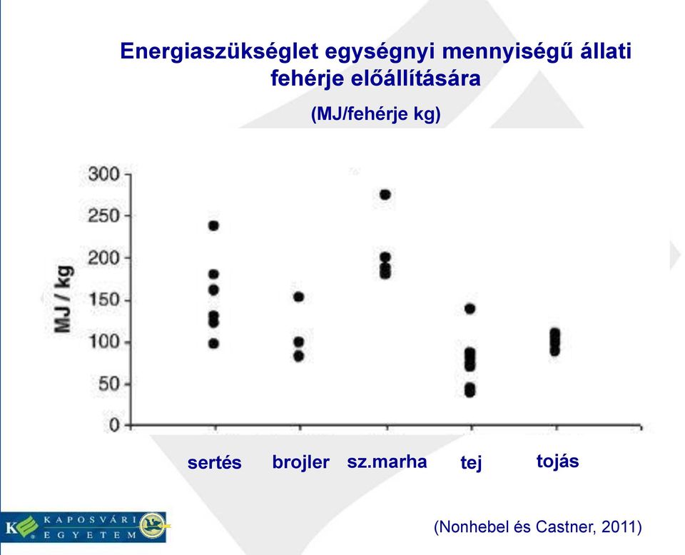 előállítására (MJ/fehérje kg) sertés