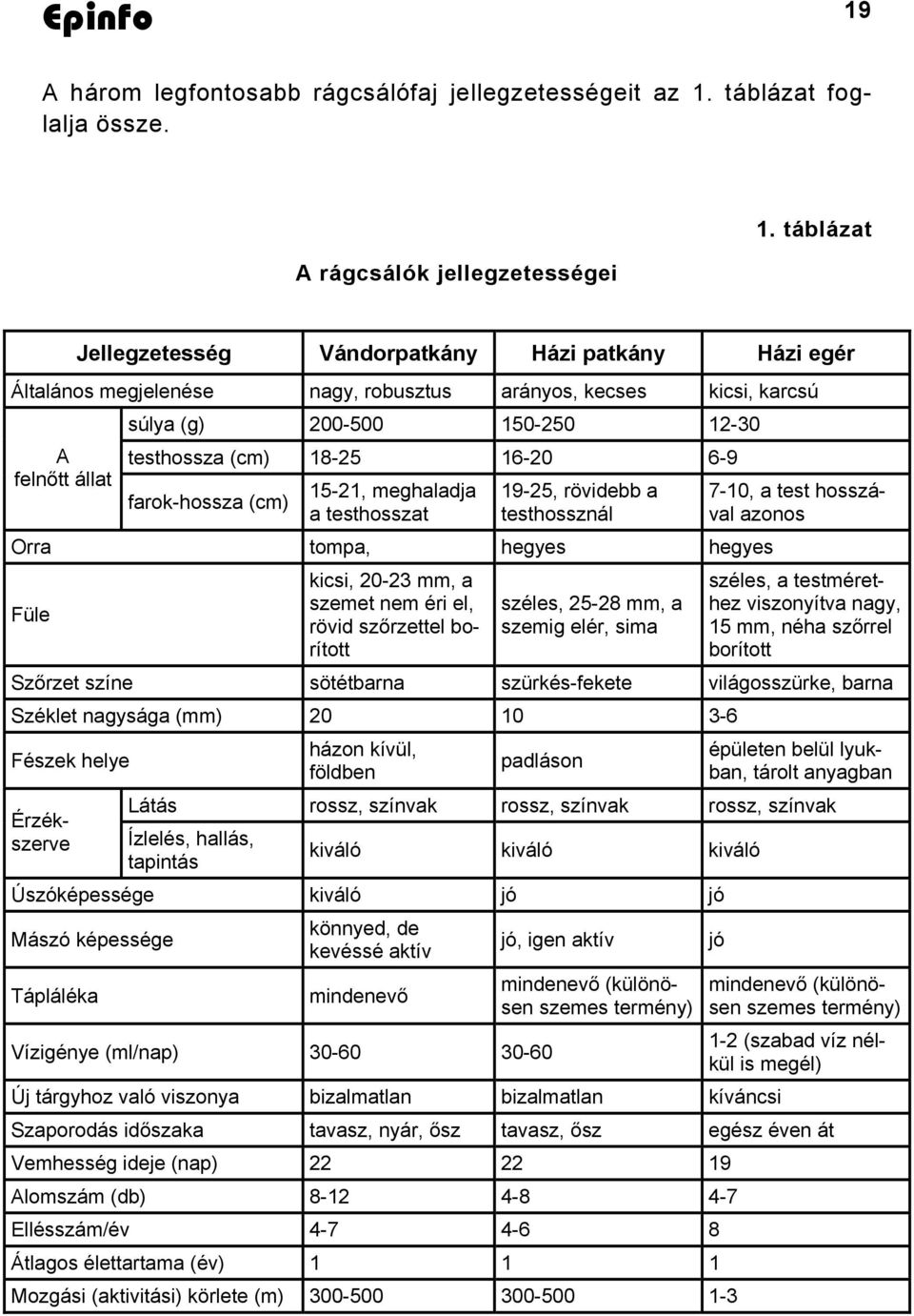 16-20 6-9 farok-hossza (cm) 15-21, meghaladja a testhosszat 19-25, rövidebb a testhossznál Orra tompa, hegyes hegyes Füle kicsi, 20-23 mm, a szemet nem éri el, rövid szőrzettel borított széles, 25-28