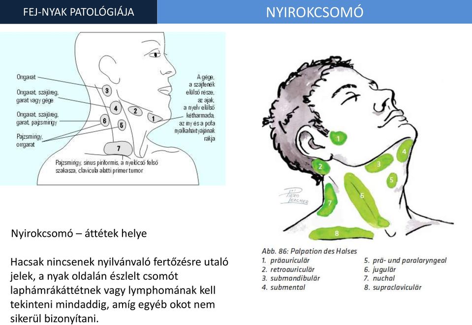 oldalán észlelt csomót laphámrákáttétnek vagy lymphomának