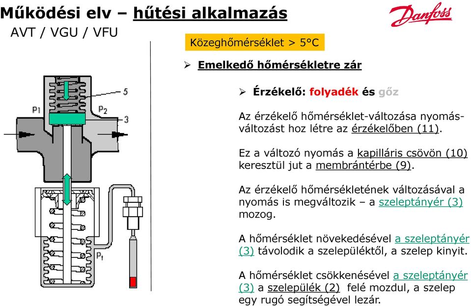 Ez a változó nyomás a kapilláris csövön (10) keresztül jut a membrántérbe (9).