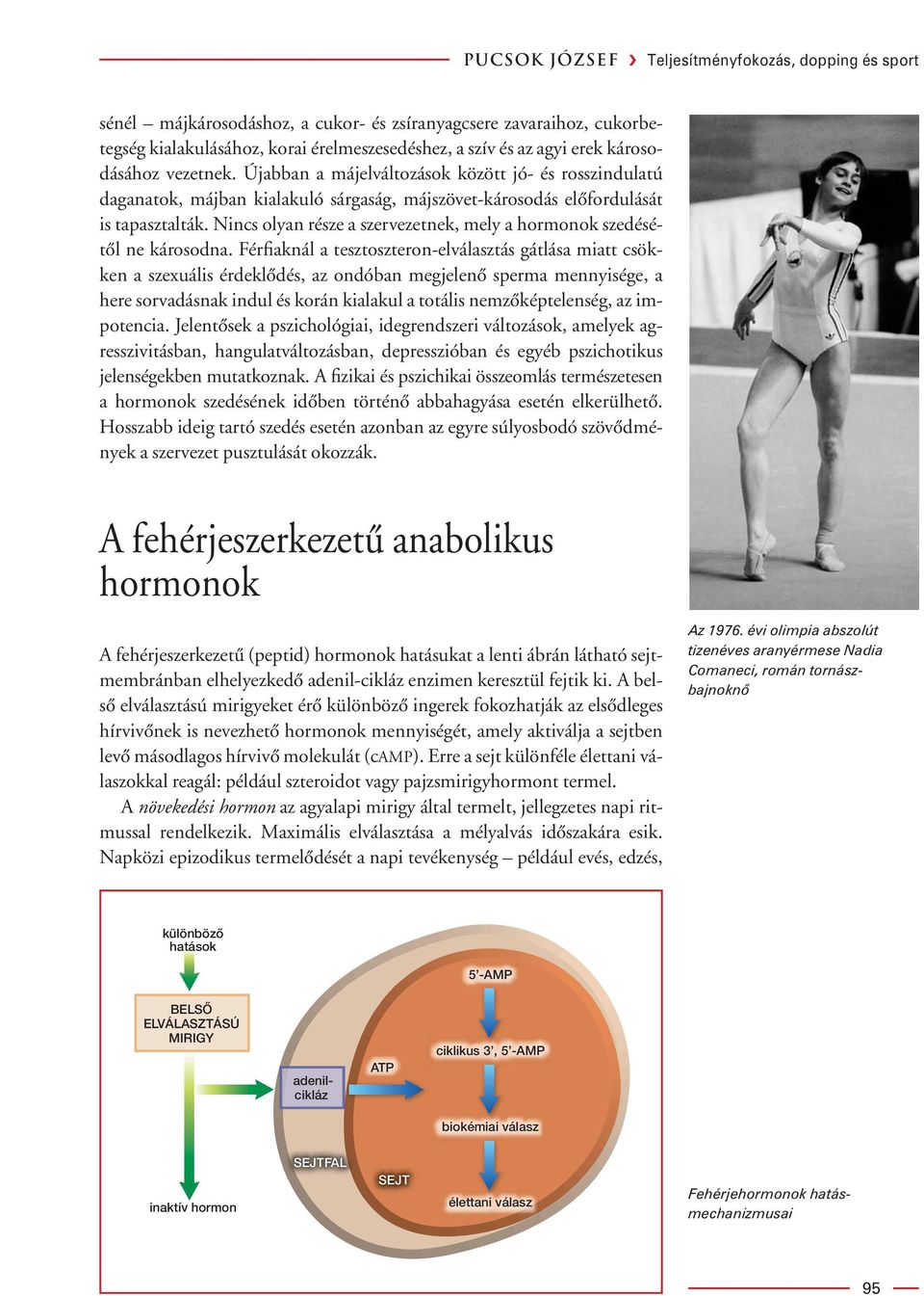 Nincs olyan része a szervezetnek, mely a hormonok szedésétôl ne károsodna.