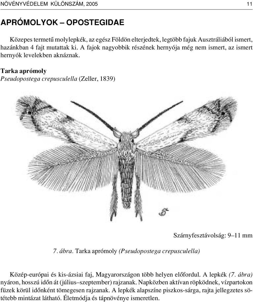 Tarka aprómoly (Pseudopostega crepusculella) Szárnyfesztávolság: 9 11 mm Közép-európai és kis-ázsiai faj, Magyarországon több helyen elôfordul. A lepkék (7.