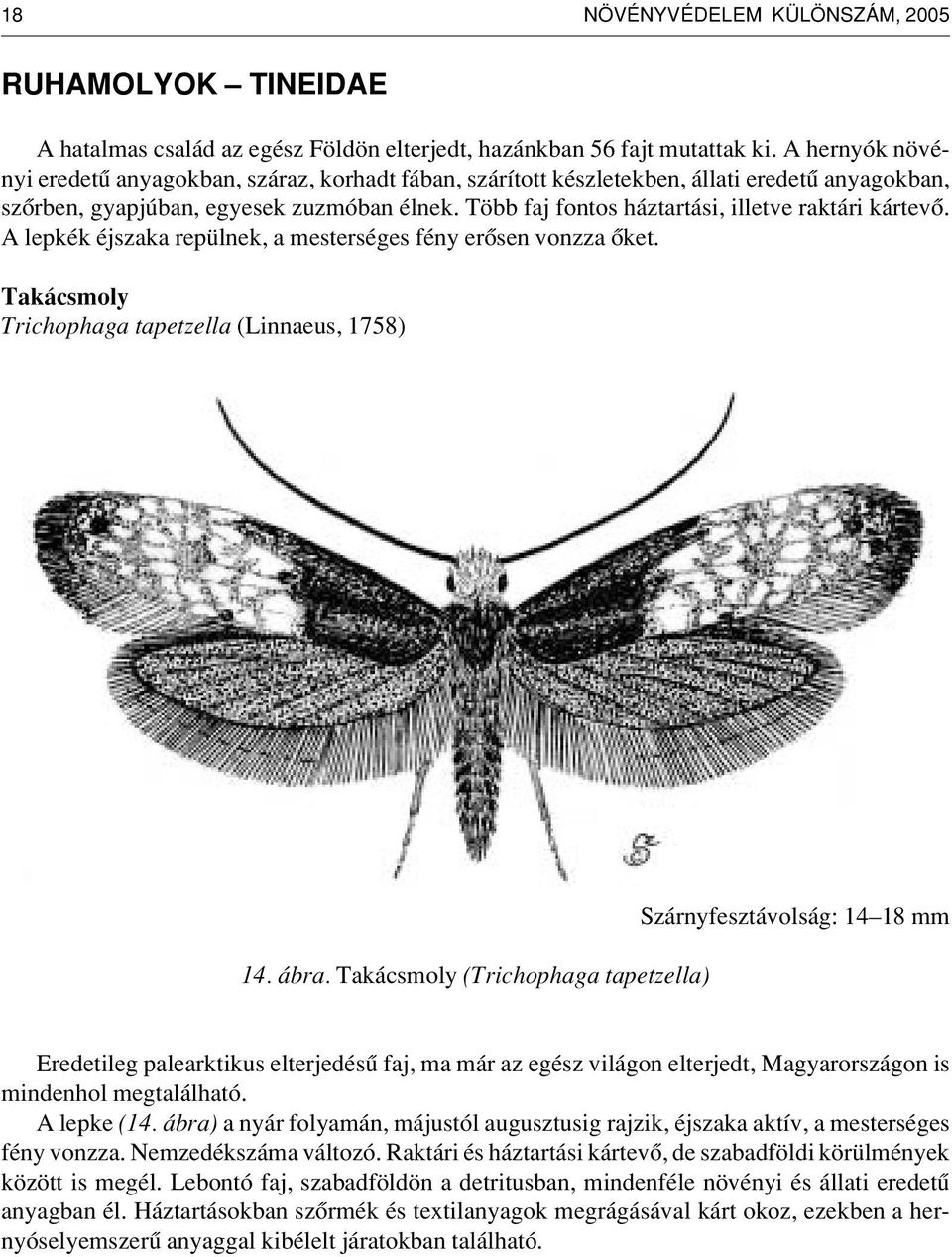 Több faj fontos háztartási, illetve raktári kártevô. A lepkék éjszaka repülnek, a mesterséges fény erôsen vonzza ôket. Takácsmoly Trichophaga tapetzella (Linnaeus, 1758) 14. ábra.