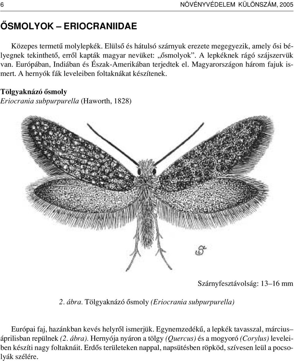 Tölgyaknázó ôsmoly Eriocrania subpurpurella (Haworth, 1828) 2. ábra. Tölgyaknázó ôsmoly (Eriocrania subpurpurella) Szárnyfesztávolság: 13 16 mm Európai faj, hazánkban kevés helyrôl ismerjük.
