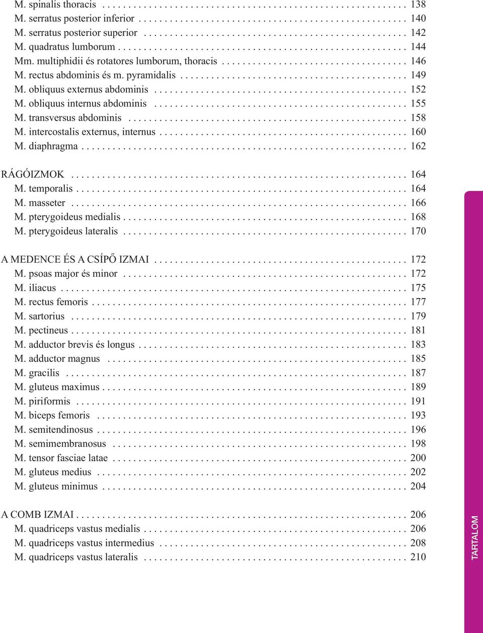 multiphidii és rotatores lumborum, thoracis.................................... 146 M. rectus abdominis és m. pyramidalis............................................ 149 M.