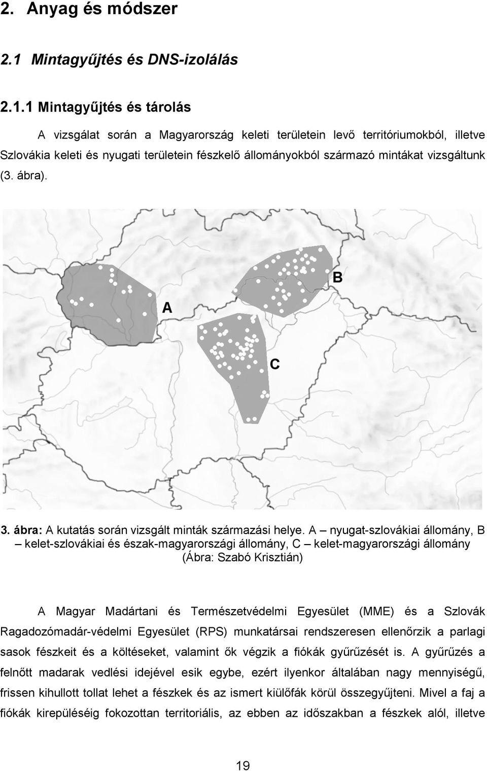 1 Mintagyűjtés és tárolás A vizsgálat során a Magyarország keleti területein levő territóriumokból, illetve Szlovákia keleti és nyugati területein fészkelő állományokból származó mintákat vizsgáltunk