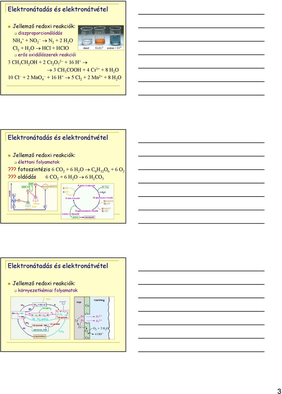 + 8 H 2 O Elektronátadás és elektronátvétel Jellemzı redoxi reakciók: élettani folyamatok?