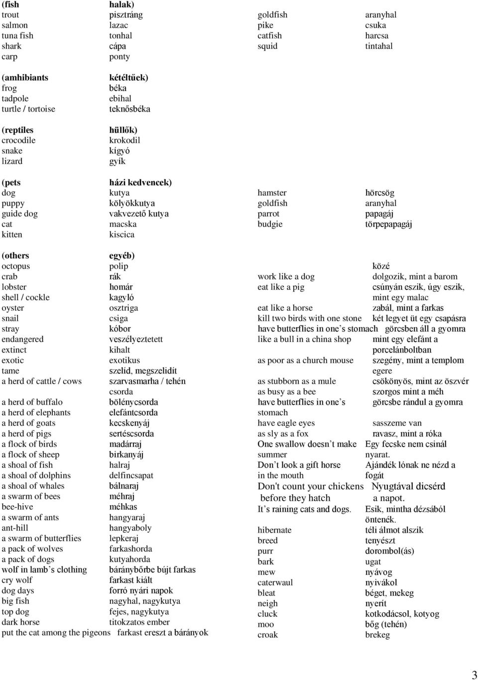 parrot budgie hörcsög aranyhal papagáj törpepapagáj (others egyéb) octopus polip crab rák lobster homár shell / cockle kagyló oyster osztriga snail csiga stray kóbor endangered veszélyeztetett