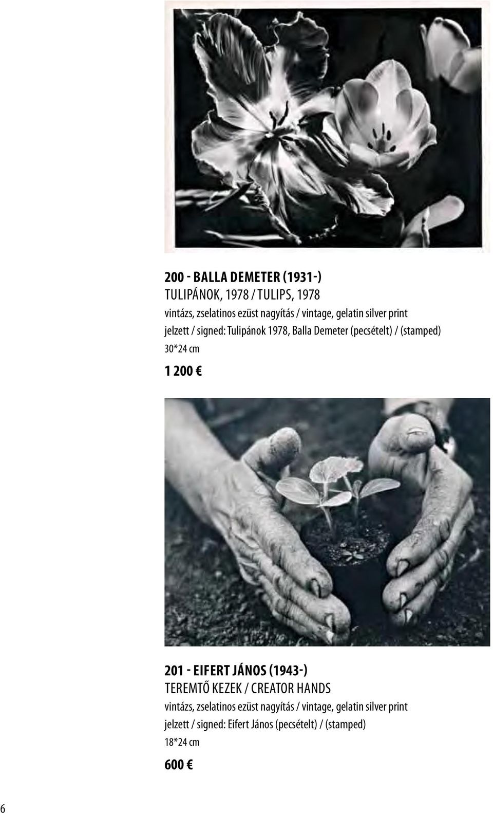 30*24 cm 1 200 201 - Eifert János (1943-) Teremtő kezek / Creator hands vintázs, zselatinos ezüst