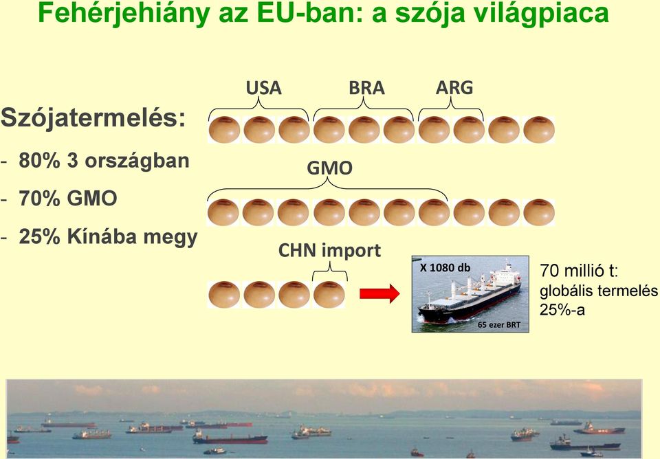 70% GMO GMO - 25% Kínába megy CHN import X 1080