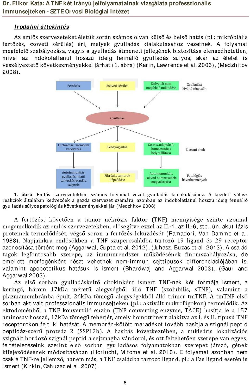 A folyamat megfelelő szabályozása, vagyis a gyulladás átmeneti jellegének biztosítása elengedhetetlen, mivel az indokolatlanul hosszú ideig fennálló gyulladás súlyos, akár az életet is veszélyeztető