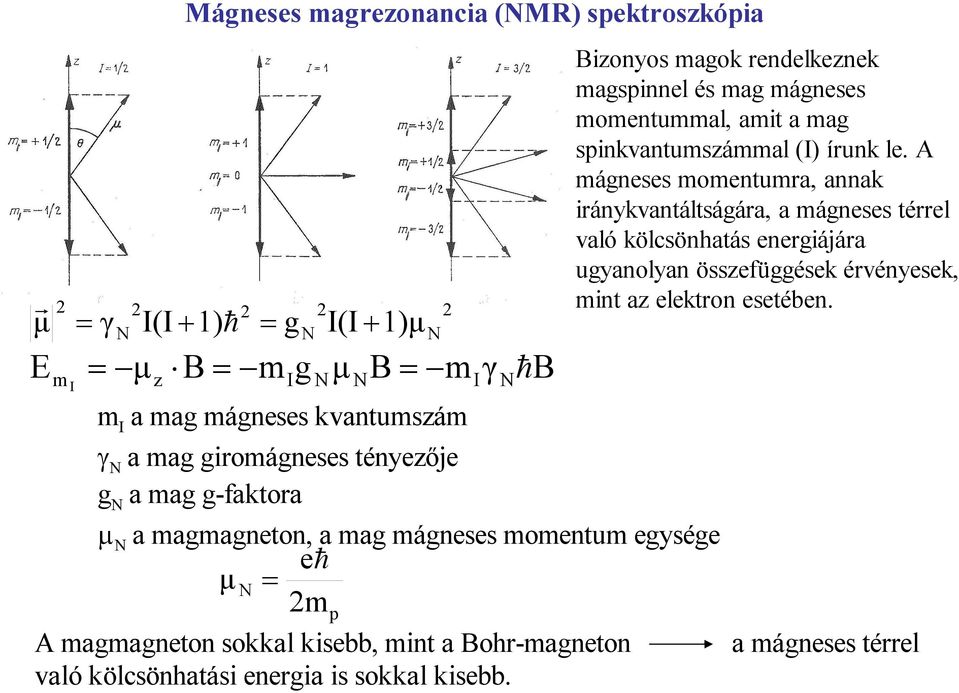 A mágneses momentumra, annak iránykvantáltságára, a mágneses térrel való kölcsönhatás energiájára ugyanolyan összefüggések érvényesek, mint az elektron esetében.