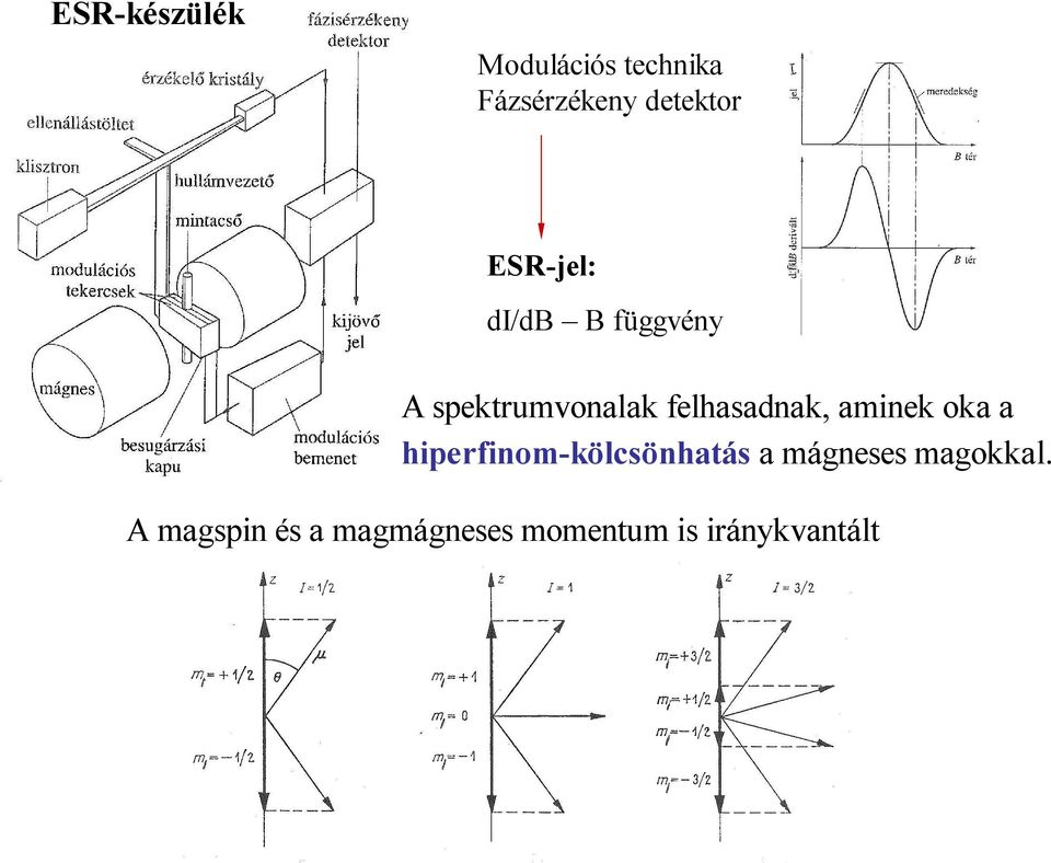 felhasadnak, aminek oka a hiperfinom-kölcsönhatás a