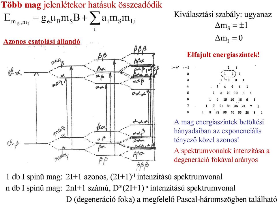 A spektrumvonalak intenzitása a degeneráció fokával arányos 1 db I spinű mag: 2I+1 azonos, (2I+1)-1 intenzitású spektrumvonal n