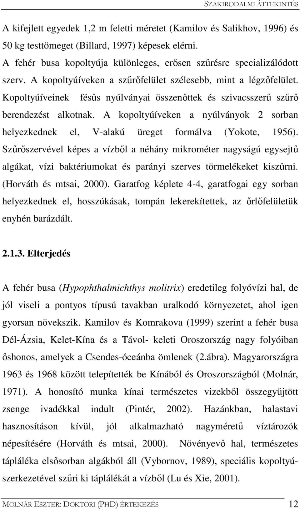 Kopoltyúíveinek fésűs nyúlványai összenőttek és szivacsszerű szűrő berendezést alkotnak. A kopoltyúíveken a nyúlványok 2 sorban helyezkednek el, V-alakú üreget formálva (Yokote, 1956).