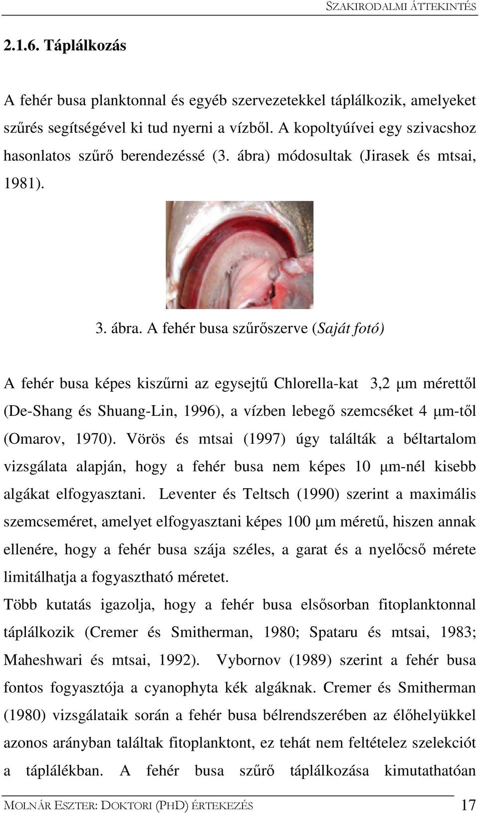 módosultak (Jirasek és mtsai, 1981). 3. ábra.