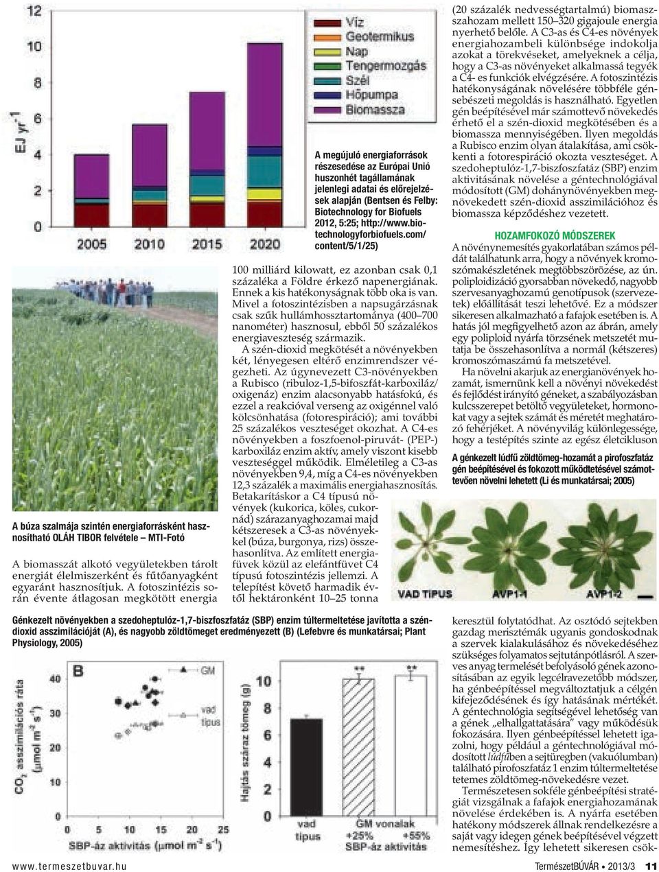 Biotechnology for Biofuels 2012, 5:25; http://www.biotechnologyforbiofuels.com/ content/5/1/25) 100 milliárd kilowatt, ez azonban csak 0,1 százaléka a Földre érkező napenergiának.