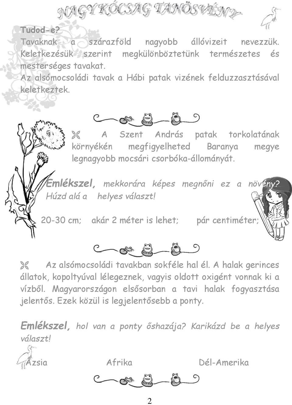 Emlékszel, mekkorára képes megnőni ez a növény? Húzd alá a helyes választ! 20-30 cm; akár 2 méter is lehet; pár centiméter; Az alsómocsoládi tavakban sokféle hal él.