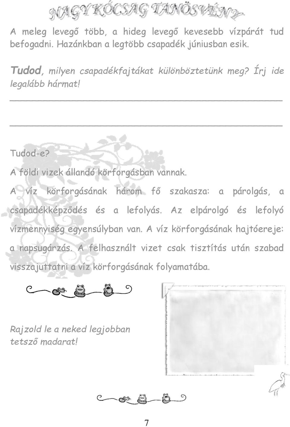 A víz körforgásának három fő szakasza: a párolgás, a csapadékképződés és a lefolyás. Az elpárolgó és lefolyó vízmennyiség egyensúlyban van.