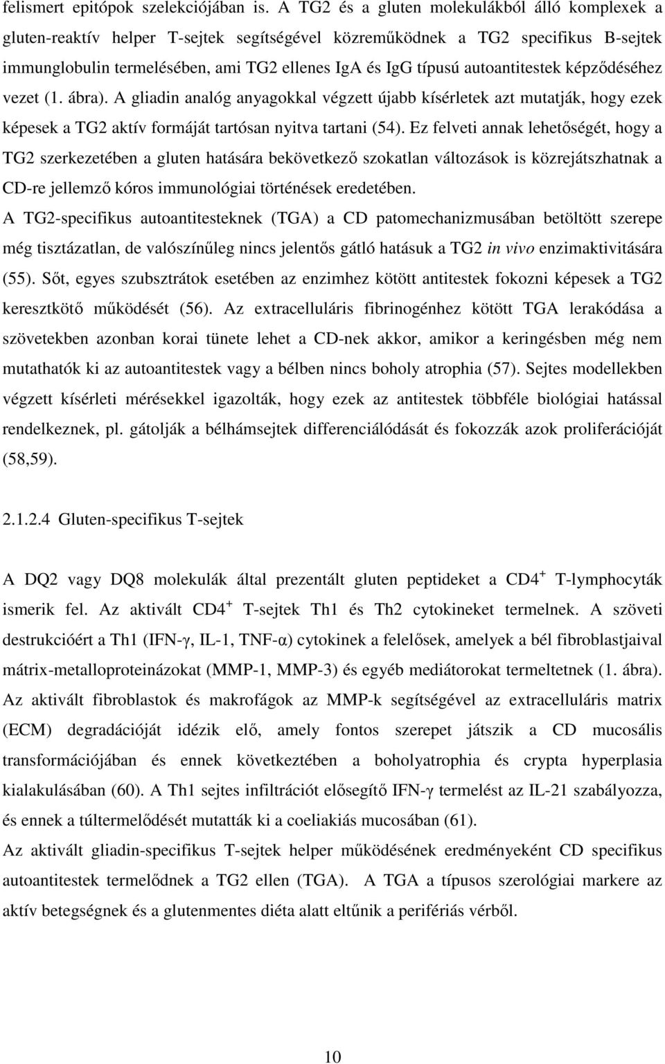 autoantitestek képzıdéséhez vezet (1. ábra). A gliadin analóg anyagokkal végzett újabb kísérletek azt mutatják, hogy ezek képesek a TG2 aktív formáját tartósan nyitva tartani (54).