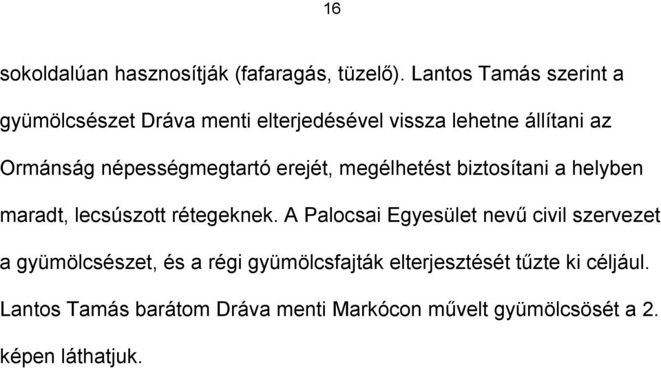 népességmegtartó erejét, megélhetést biztosítani a helyben maradt, lecsúszott rétegeknek.