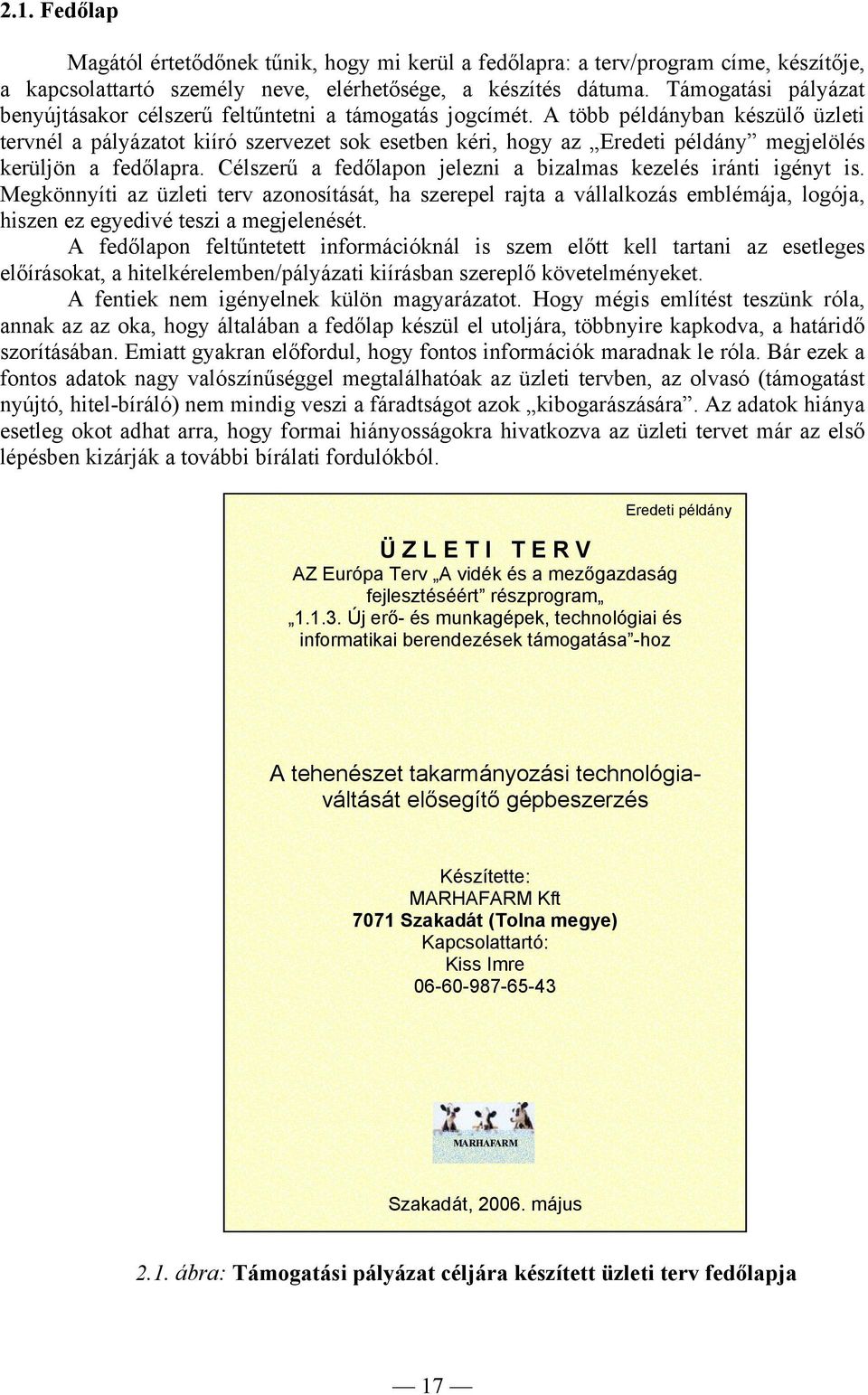 A több példányban készülő üzleti tervnél a pályázatot kiíró szervezet sok esetben kéri, hogy az Eredeti példány megjelölés kerüljön a fedőlapra.