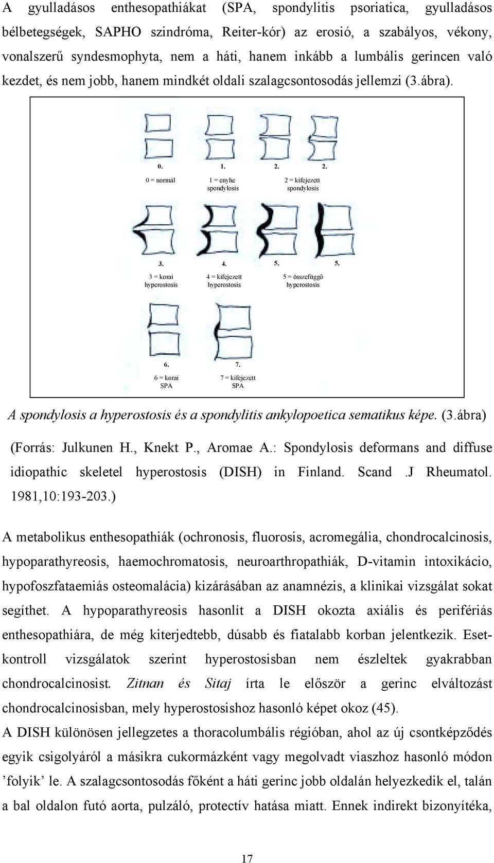 5. 3 = korai hyperostosis 4 = kifejezett hyperostosis 5 = összefüggő hyperostosis 6. 7. 6 = korai SPA 7 = kifejezett SPA A spondylosis a hyperostosis és a spondylitis ankylopoetica sematikus képe. (3.