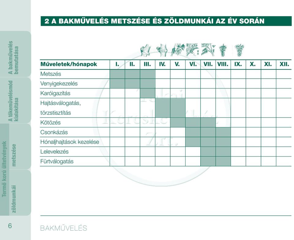 XII. Metszés Venyigekezelés Karóigazítás Hajtásválogatás, törzstisztítás