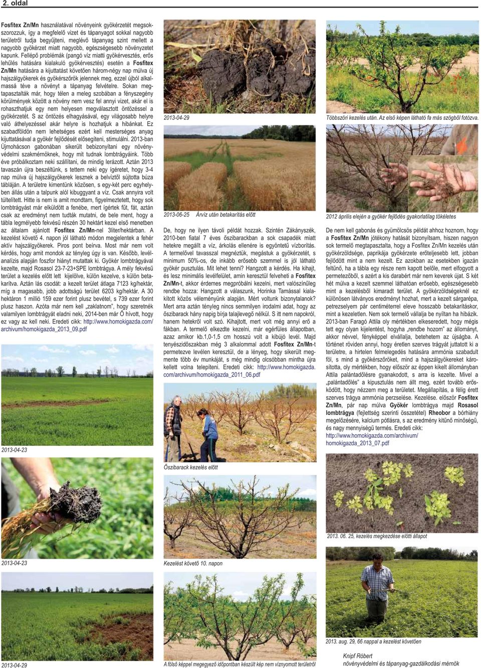 Fellépő problémák (pangó víz miatti gyökérvesztés, erős lehűlés hatására kialakuló gyökérvesztés) esetén a Fosfitex Zn/Mn hatására a kijuttatást követően három-négy nap múlva új hajszálgyökerek és