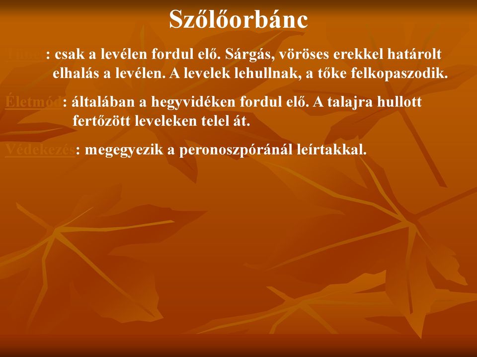 A levelek lehullnak, a tőke felkopaszodik.