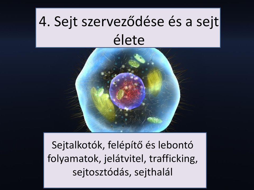 lebontó folyamatok, jelátvitel,