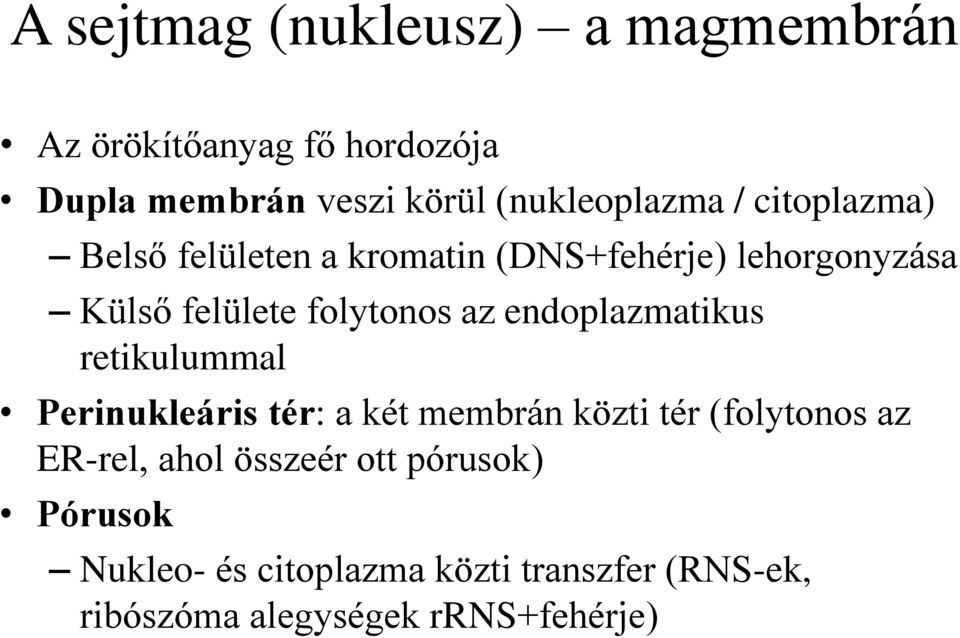 endoplazmatikus retikulummal Perinukleáris tér: a két membrán közti tér (folytonos az ER-rel, ahol