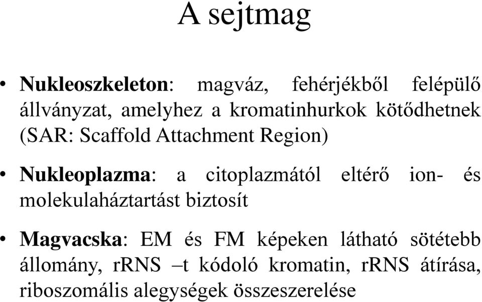 citoplazmától eltérő ion- és molekulaháztartást biztosít Magvacska: EM és FM képeken