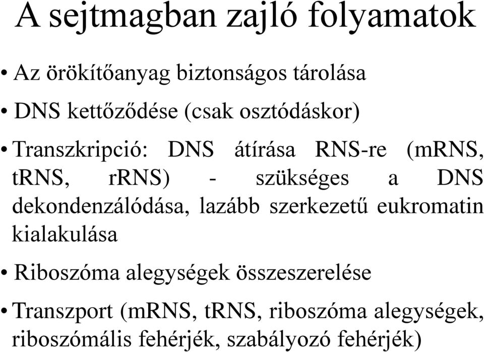 dekondenzálódása, lazább szerkezetű eukromatin kialakulása Riboszóma alegységek