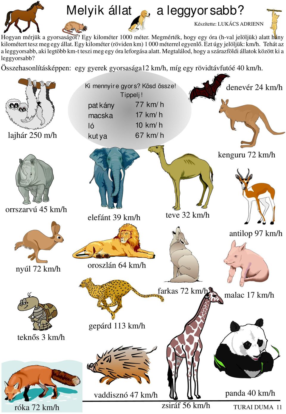 Megtalálod, hogy a szárazföldi állatok között ki a leggyorsabb? Összehasonlításképpen: egy gyerek gyorsasága12 km/h, míg egy rövidtávfutóé 40 km/h. Ki mennyire gyors? Kösd össze! Tippelj!