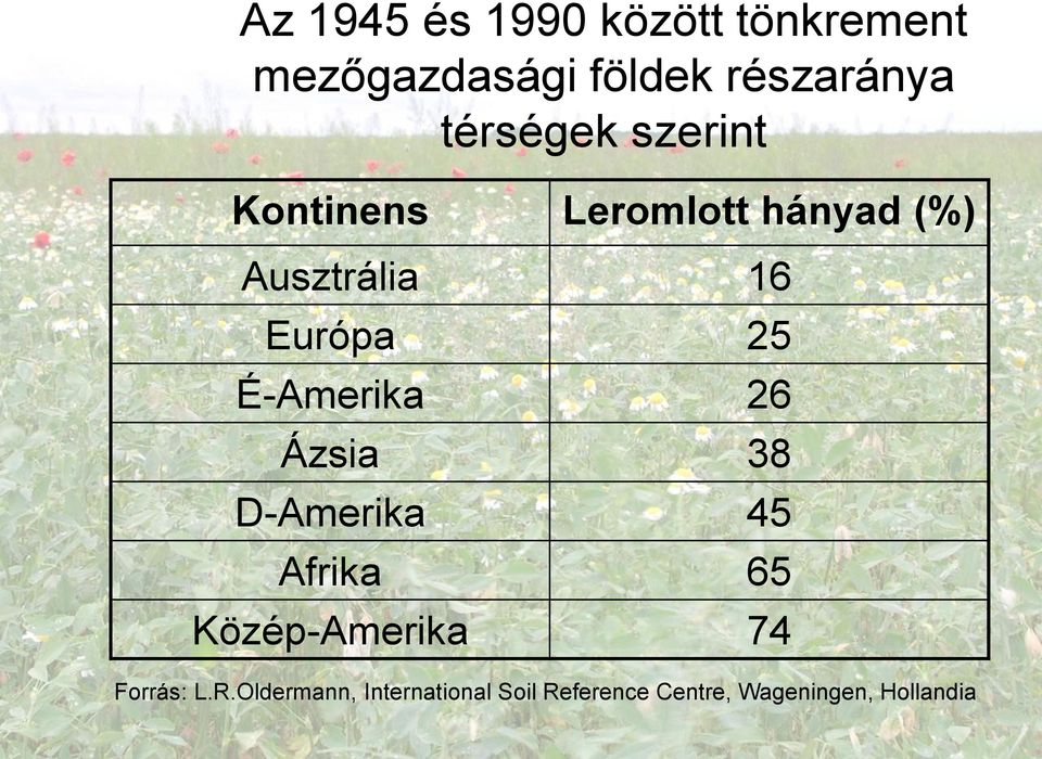 25 É-Amerika 26 Ázsia 38 D-Amerika 45 Afrika 65 Közép-Amerika 74