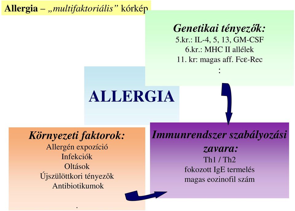 Fcε-Rec : Környezeti faktorok: Allergén expozíció Infekciók Oltások